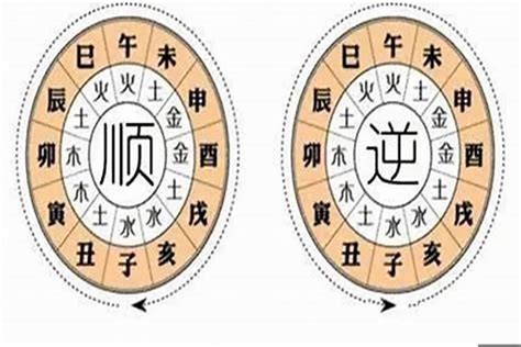 流年 大運|八字中的命局、大運、流年